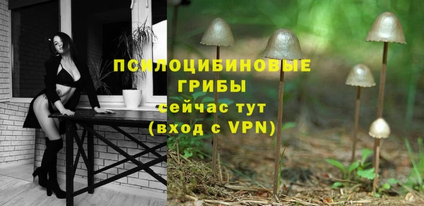 тгк Абинск
