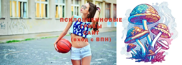 тгк Абинск